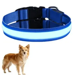 HausPets Collar recargable con luz LED, azul, talla L, para perros - 1 artículo
