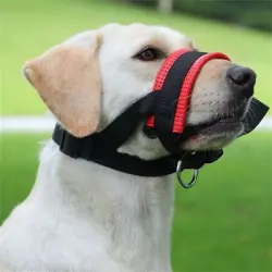 IntiMeg Bozal para perros, antimordeduras y antiingestión - METRO