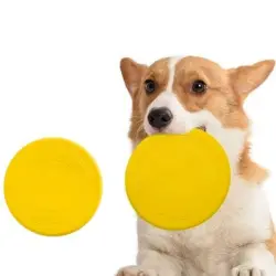 IntiMeg Disco volador para perros - Artículo 1