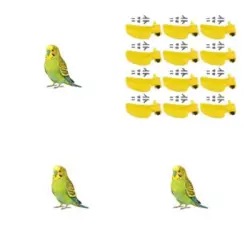 MCBOSON Juego de 12 bebederos automáticos para aves, para pollos codornices - 1 artículo