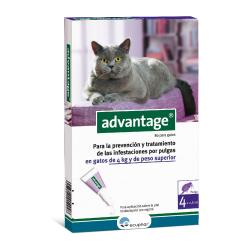 Advantage pipetas antipulgas para gatos (+ 4 Kg)