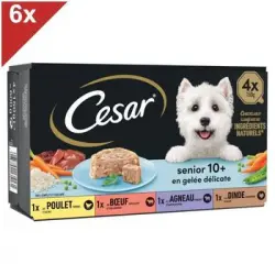 Bandejas De Gelatina Cesar - 4 Variedades - Para Perros Mayores - 4 X 150 G (x6)