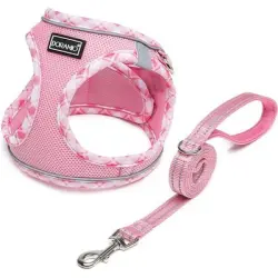 HausPets Arnés reflectante con correa para perros pequeños - Artículo 1
