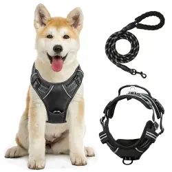 TheKingPet Arnés con diseño ergonómico + Correa cómoda de EVA para perros - M
