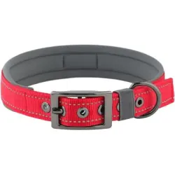 HausPets Collar ancho ajustable de neopreno para perros hebilla nailon AM - Artículo 1