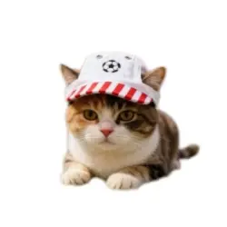 MCBOSON Gorra de béisbol bordada protección solar ajustable perros gatos - 1 artículo