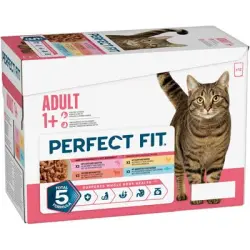 Perfect Fit - Pack Mixto - 12 x 85 g