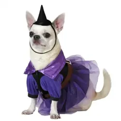 Disfraz de Bruja morada con sombrero para perro
