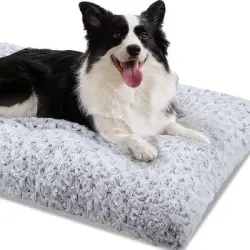 FurryFusion Cama para perros de terciopelo rosa - Artículo 1
