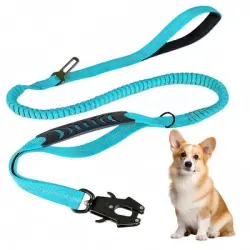 IntiMeg Correa extensible para perros con mosquetón - Azul
