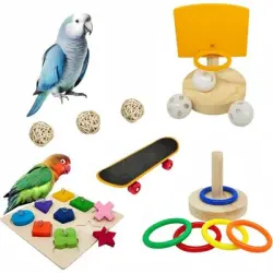 ZooVenture Juego de juguetes de entrenamiento para pájaros - 4 piezas