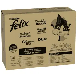 Felix Fantastic 80 x 85 g - Jumbopack - Doblemente Delicioso selección del campo