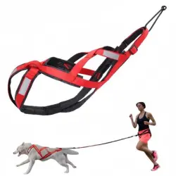 FurryFusion correa para perros de carreras - L