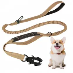 IntiMeg Correa extensible para perros con mosquetón - Caqui