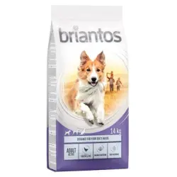 Briantos 14 kg pienso para perros ¡con gran descuento! - Adult Active Pollo y arroz