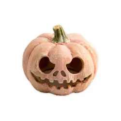 Exo Terra Calabaza Fluorescente 225 gr