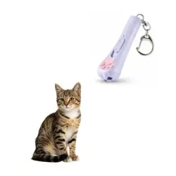 MCBOSON 3 modos ajustables, recargable USB, láser azul Neptuno gatos perros - 1 artículo