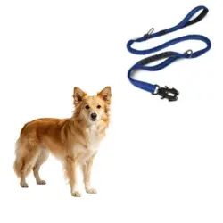 MCBOSON Correa elástica azul para perros (con 4 asas antitirones) - 1 artículo