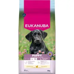 Eukanuba Premium Nutrition Puppy Large & Giant Breed pollo - 15 kg