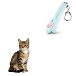 MCBOSON Velocímetro láser con 3 modos ajustables para gatos y perros - 1 artículo
