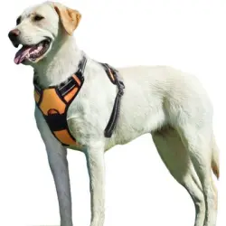 Pawffee Arnés antitirones XL transpirable reflectante para perros, fácil - 1 pieza
