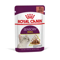 Royal Canin Sensory Smell en salsa - 12 x 85 g