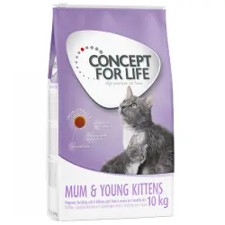 Concept for Life Mum & Young Kittens pienso para gatos - 10 kg - Receta mejorada