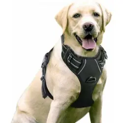 Pawffee Arnés para perros: fácil de poner, con control frontal y ajuste - 1 pieza