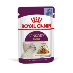 Royal Canin Sensory Smell en gelatina - 12 x 85 g