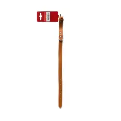 Seleiro Collar Cuero color Camel para perros - 39 – 51 cm x 2.5 cm