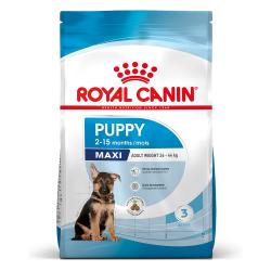 Pienso para perros cachorros raza grande Royal Canin Maxi Junior 15 Kg