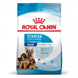 Royal Canin Maxi Starter Babydog 15 Kg.