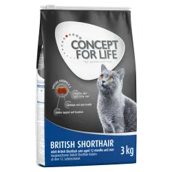 Concept for Life 9 kg / 10 kg pienso para gatos en oferta: 2 kg ¡gratis! - British Shorthair Adult (7 + 2 kg gratis)