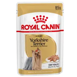 Royal Canin Yorkshire Adult Húmedo 12x85 gr