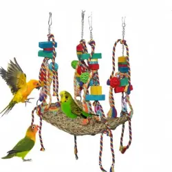 ZooVenture Hamaca de juguete - Columpio de algas marinas para pájaros - 1 pieza