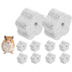 ZooVenture Piedra pómez de juguete para muelas hámsteres animales pequeños - 10 piezas