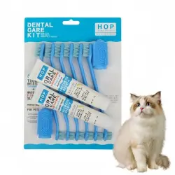 FurryFusion Set de pasta y cepillo de dientes para gatos - Artículo 1