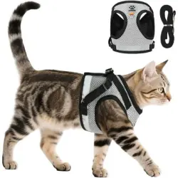 HausPets 2 arneses reflectantes gatos + correa 1,5 m – prueba fugas – M+S - 2 arneses + correa de 1,5 m – M+S