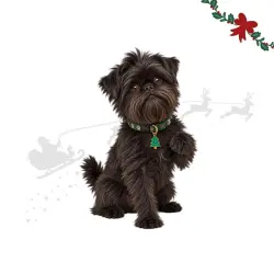 Wonder Christmas Colgante Collar Árbol Navidad para perros 2 x 1 cm