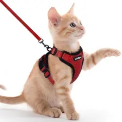 HausPets Arnés antiescape rojo gatos, talla XXS – Reflectante – gatitos - Arnés rojo XXS – Reflectante