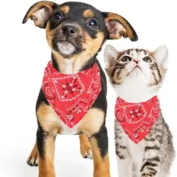 HausPets Pañuelo ajustable para perro y gato, rojo, talla M - 7 kg