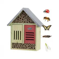 Hotelrefugio De Insectos Xl