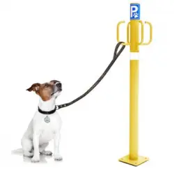 Náyade System Dog Parking Post: Poste Parking Exterior Con 4 Ganchos. Color Amarillo