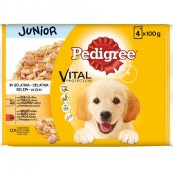 Pedigree Junior Vital Protection Gelatina sobre para perros - Pack 4