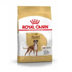 Royal Canin Adult Boxer pienso para perros
