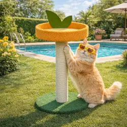 Summer Vibes Poste Rascador Fruta Naranja para gatos - 35 x 35 x 48 cm