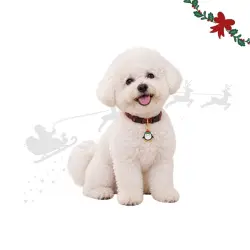 Wonder Christmas Colgante Collar Pingüino para perros 2 x 1 cm