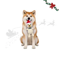 Wonder Christmas Erizo Peluche para perros - 24 x 10 x 8 cm