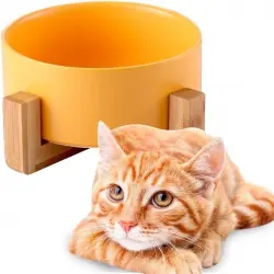 Edipets comedero bebedero de porcelana amarillo para gatos