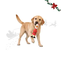 Wonder Christmas Pollo Látex  para perros - 29 x 9.5 x 7 cm